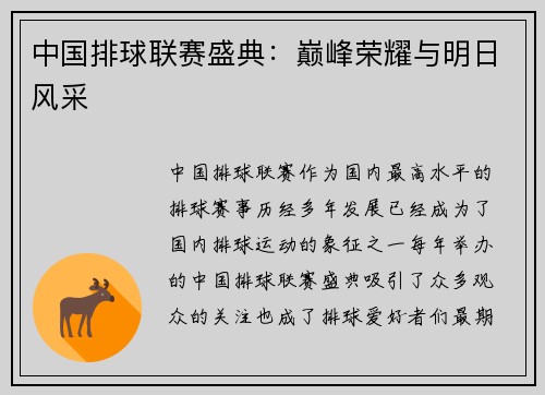 中国排球联赛盛典：巅峰荣耀与明日风采